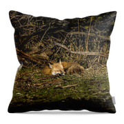 Peaceful Fox in Sunlit Meadow Throw Pillow by Brandon Wichmann