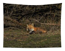 Fox Resting In Sunlit Clearing Tapestry