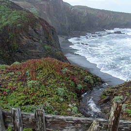 Rocky Coastline with Vibrant Foliage by Brandon Wichmann