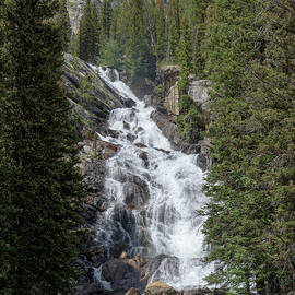 Waterfall Amidst Forest Landscape by Brandon Wichmann