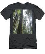 Majestic Forest Canopy In Olympic National Park T-Shirt