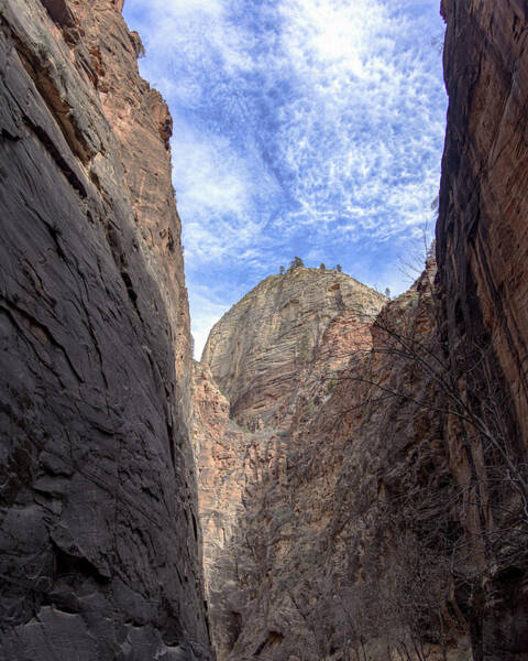 Towering Canyon Cliffs And Blue Sky Art Print