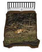 Peaceful Fox In Sunlit Meadow Duvet Cover