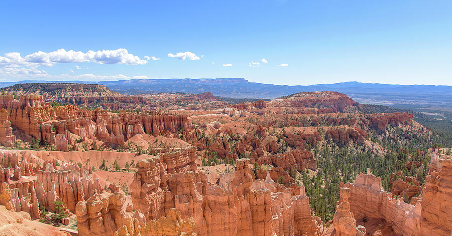 Bryce Canyon National Park Landscape Photograph - Bryce Canyon National Park Landscape by Brandon Wichmann