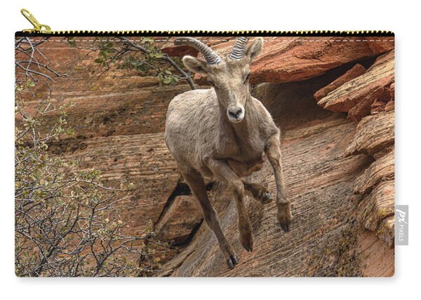Big Horn Sheep Agile Descent In Zion National Park Zip Pouch