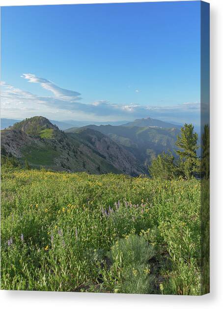 Mountain View with Wildflowers Canvas Art Print by Brandon Wichmann