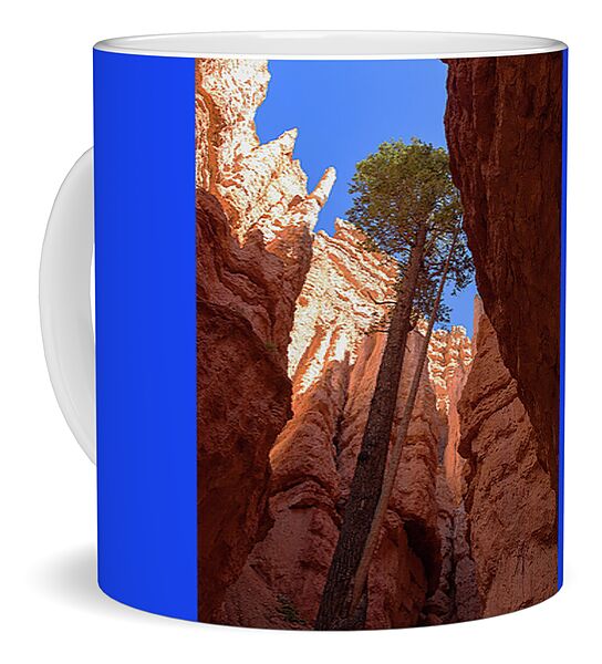 Tree Reaches Skyward In Bryce Canyon National Park Coffee Mug