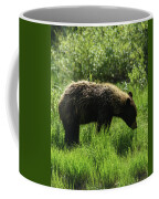 Solitary Bear In Grand Teton National Park Coffee Mug