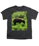 Solitary Bear In Grand Teton National Park Youth T-Shirt