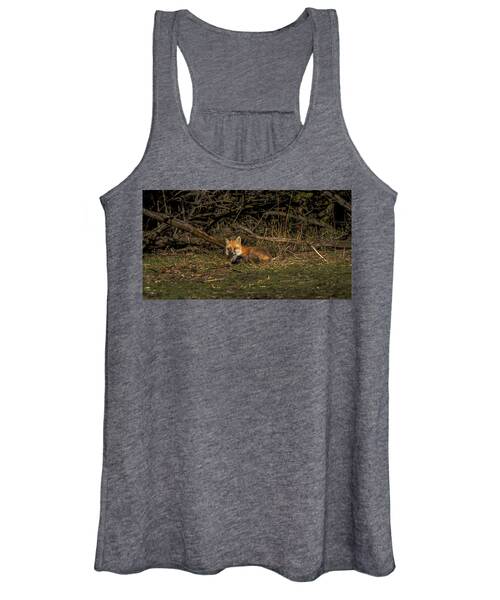 Fox Resting In Sunlit Clearing Women's Tank Top