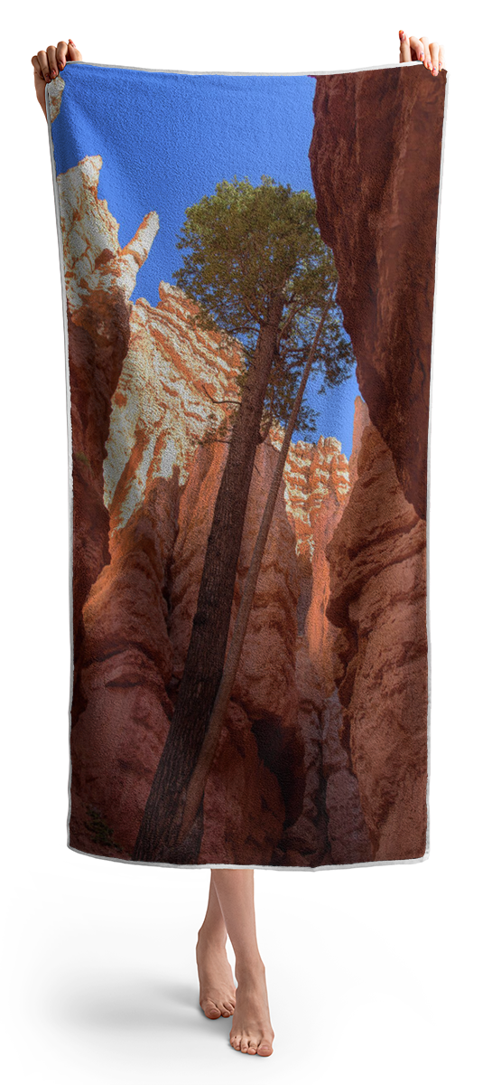 Tree Reaches Skyward In Bryce Canyon National Park Beach Towel