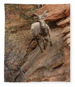 Big Horn Sheep Agile Descent In Zion National Park Fleece Blanket