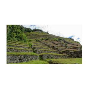 Ancient Terraces Amidst Greenery by Brandon Wichmann