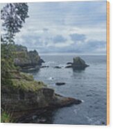 Rugged Coastal Landscape with Cliffs Wood Print