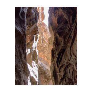 Sunlit Canyon Walls in The Narrows by Brandon Wichmann Sunlit Canyon Walls in The Narrows by Brandon Wichmann