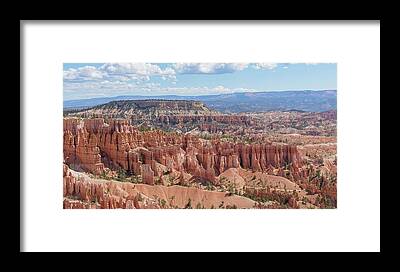 Shop for Nature Framed Prints