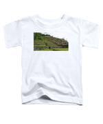 Ancient Terraces Amidst Greenery Toddler T-Shirt
