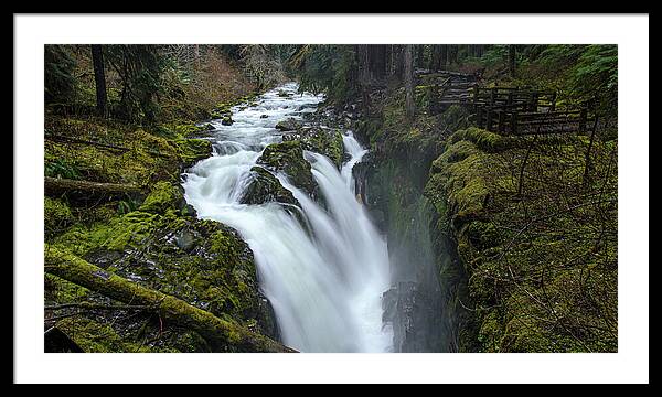 Serene Flow Through Mossy Forest Framed Print