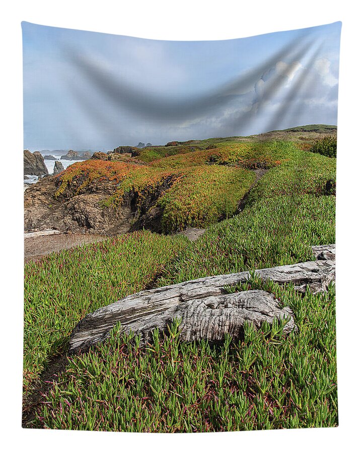 Coastal Landscape with Driftwood Tapestry