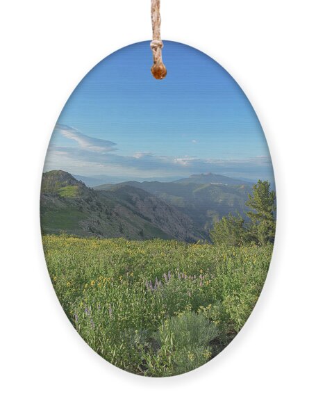 Mountain View with Wildflowers Ornament