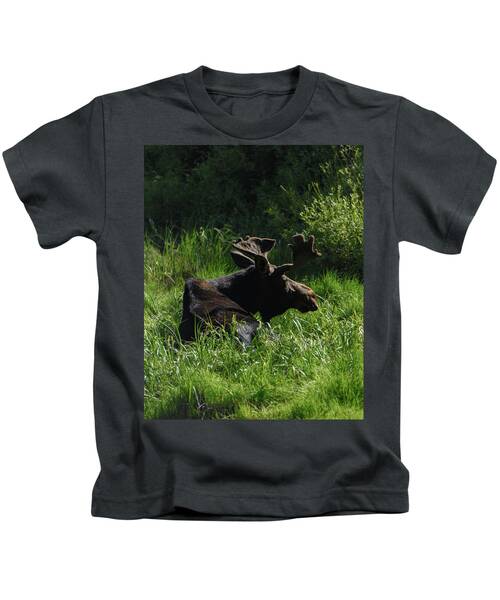 Moose Resting In Sunlit Meadow In Grand Teton National Park Kids T-Shirt