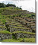Ancient Terraces Amidst Greenery Metal Print
