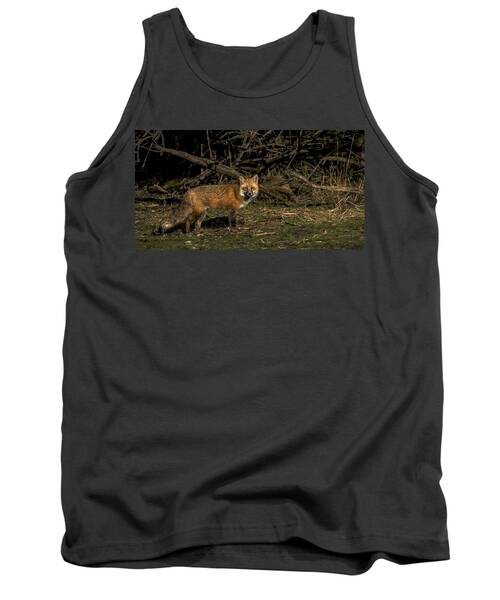 Fox In Sunlit Forest Clearing Tank Top