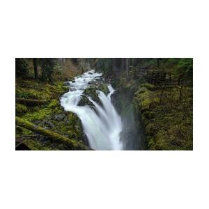 Serene Flow Through Mossy Forest by Brandon Wichmann