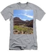 Winding Road Through Desert Canyon T-Shirt