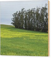 Rolling Hills With Blooming Wildflowers Wood Print