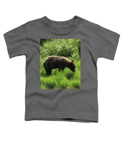 Solitary Bear In Grand Teton National Park Toddler T-Shirt