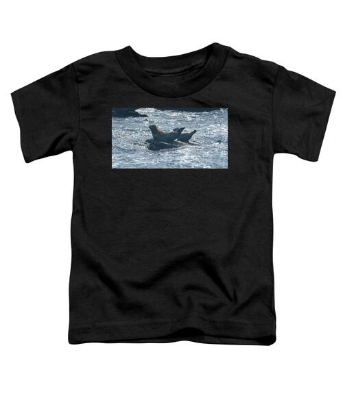 Seals Resting On Rocky Shoreline Toddler T-Shirt