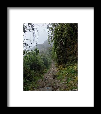 Shop for Serene Framed Prints