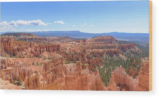Bryce Canyon National Park Landscape Wood Print