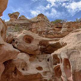 Majestic Rock Formations in Capitol Reef National Park by Brandon Wichmann