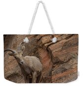 Bighorn Sheep On Rocky Terrain Weekender Tote Bag