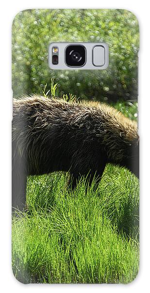 Grand Teton National Park Galaxy Cases