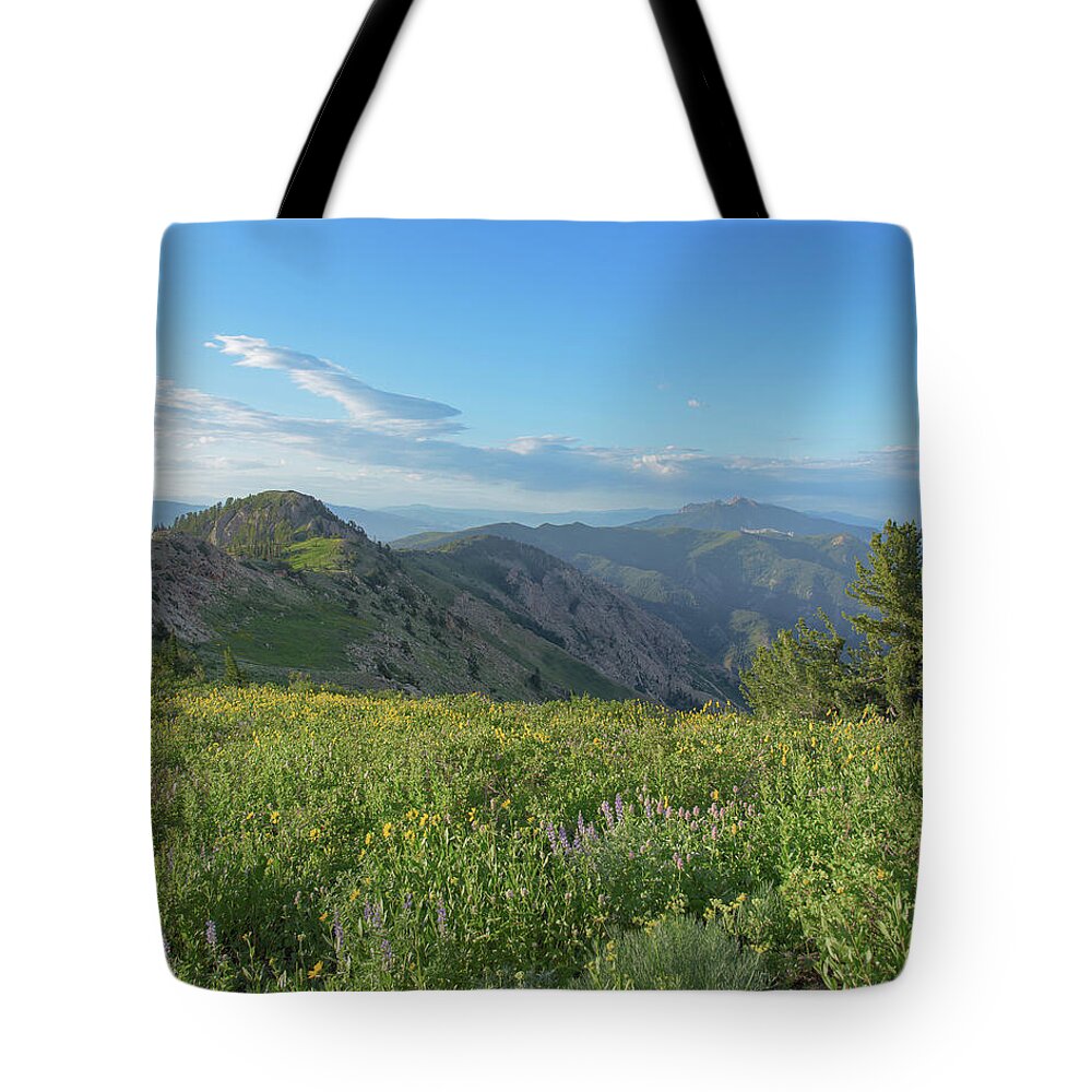 Mountain View with Wildflowers Tote Bag