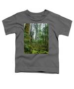 Misty Forest Silhouettes In Olympic National Park Toddler T-Shirt