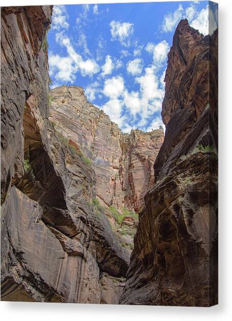 Majestic Canyon Sky View in The Narrows Canvas Art Print by Brandon Wichmann