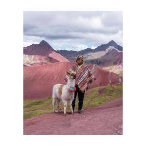 Peruvian Scene with Red Valley and Llama by Brandon Wichmann