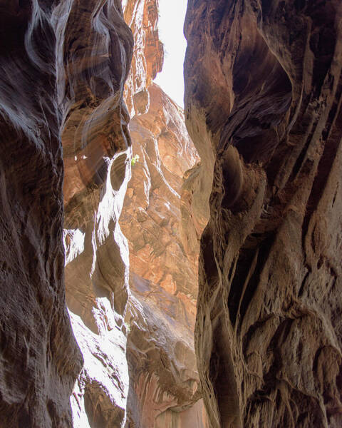 Sunlit Canyon Walls In The Narrows Art Print