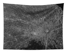 Lunar Surface Craters In Detail Tapestry