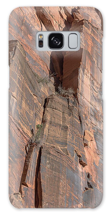 Towering Desert Sandstone Cliffs In Zion National Park Galaxy Case