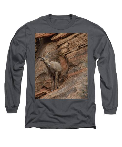 Bighorn Sheep On Rocky Terrain Long Sleeve T-Shirt