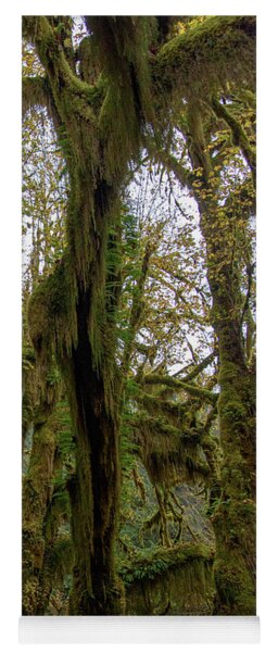 Moss-Covered Trees in a Dense Forest Yoga Mat