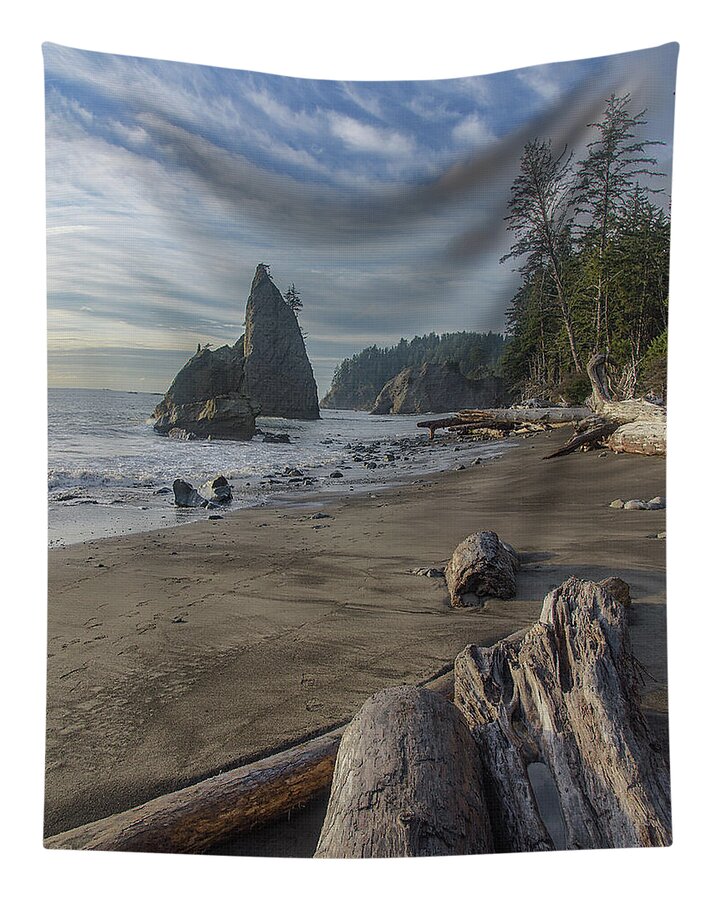 Rugged Coastal Landscape Tapestry