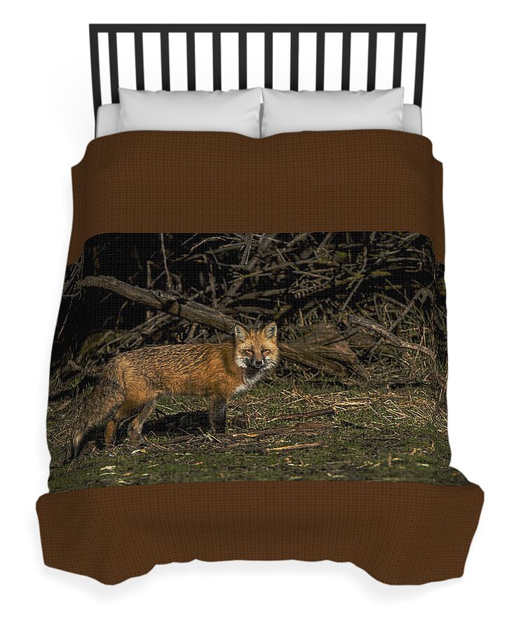 Fox In Sunlit Forest Clearing Duvet Cover