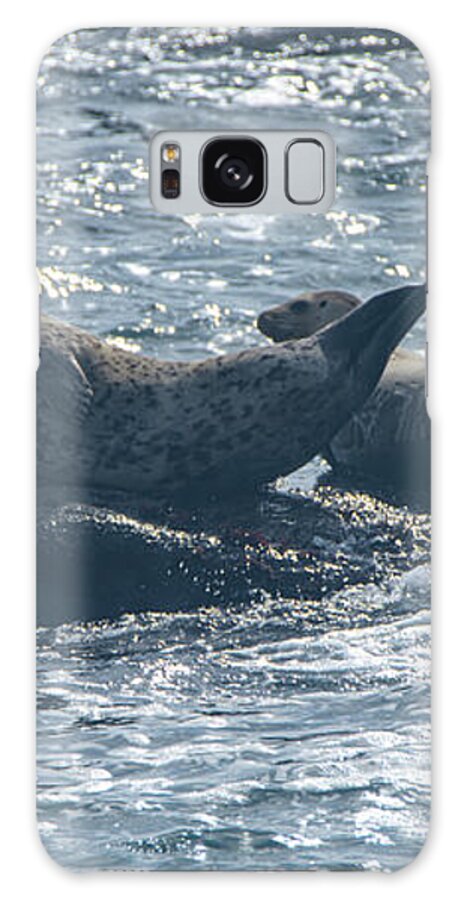 Seals Resting On Rocky Shoreline Galaxy Case
