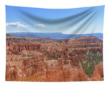 Bryce Canyon National Park Landscape Tapestry